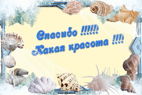 Спасибо какое время. Какая красота спасибо. Открытки какая красота спасибо. Открытка красота какая. Спасибо море